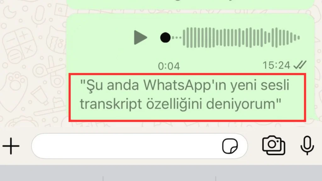 WhatsApp Sesli Mesaj Okuma